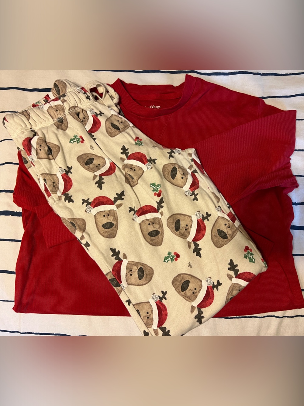 Burt’s Bees Baby Men’s Christmas Pajamas XS